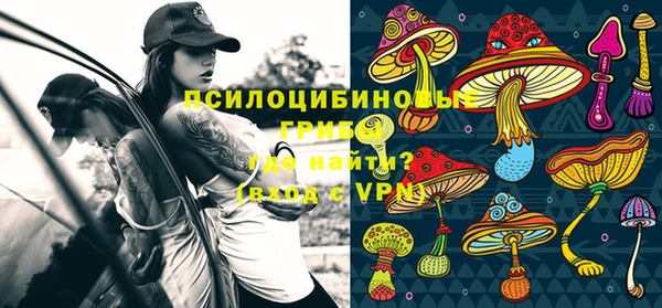 PSILOCYBIN Лихославль