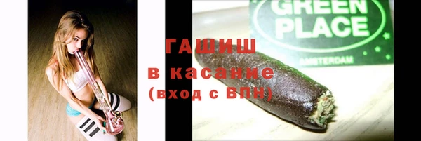 сатива Дмитровск