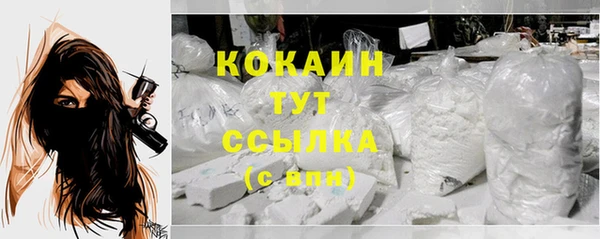 PSILOCYBIN Лихославль