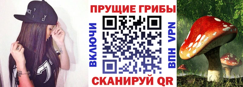 Галлюциногенные грибы Psilocybe  KRAKEN рабочий сайт  Голицыно 